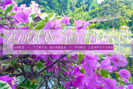 Ahmed et ses environs - Tirta Gangga et Pura Lempuyang, Bali